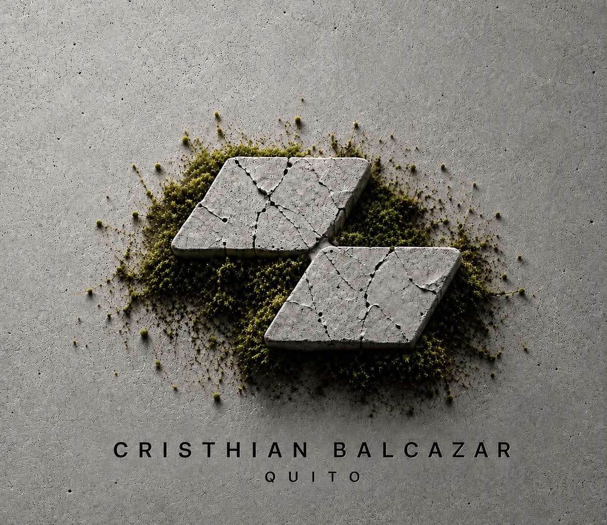 Cristhian Balcazar Quito